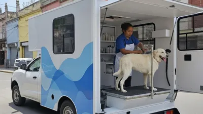 Camioneta CoolPet Móvil® — unidad de grooming a domicilio con perro siendo atendido
